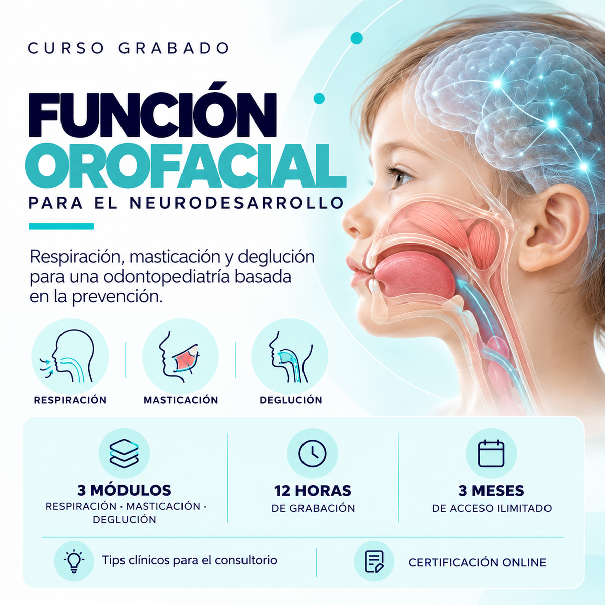 Función Orofacial para el Neurodesarrollo