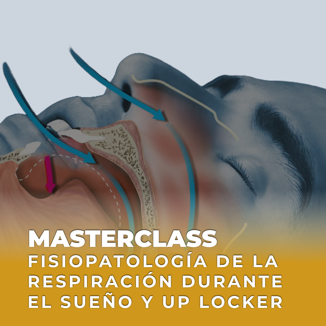 Fisiopatología de la respiración durante el sueño - UpLocker