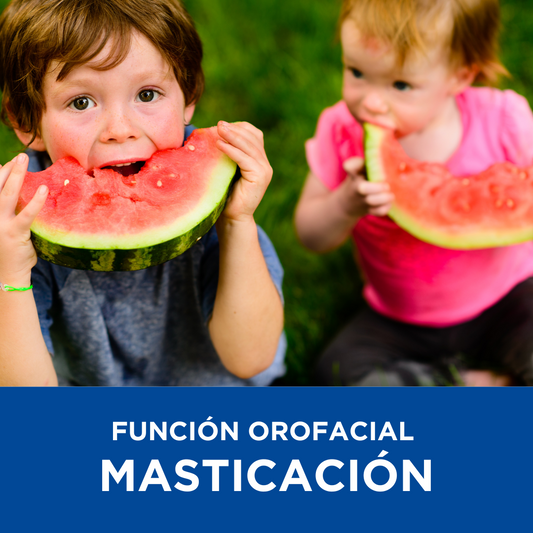 Curso función orofacial y masticación: neuronas espejo, músculos y desarrollo craneofacial – Neurotrainers