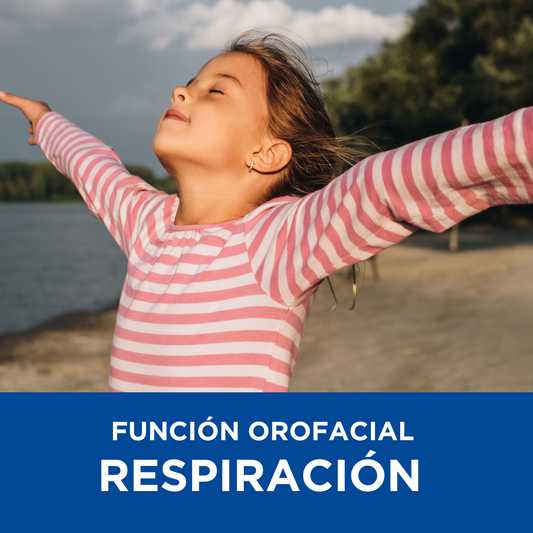 Curso función orofacial y respiración: causas, consecuencias y abordaje clínico – Neurotrainers